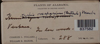 Image Associated With the Occurence